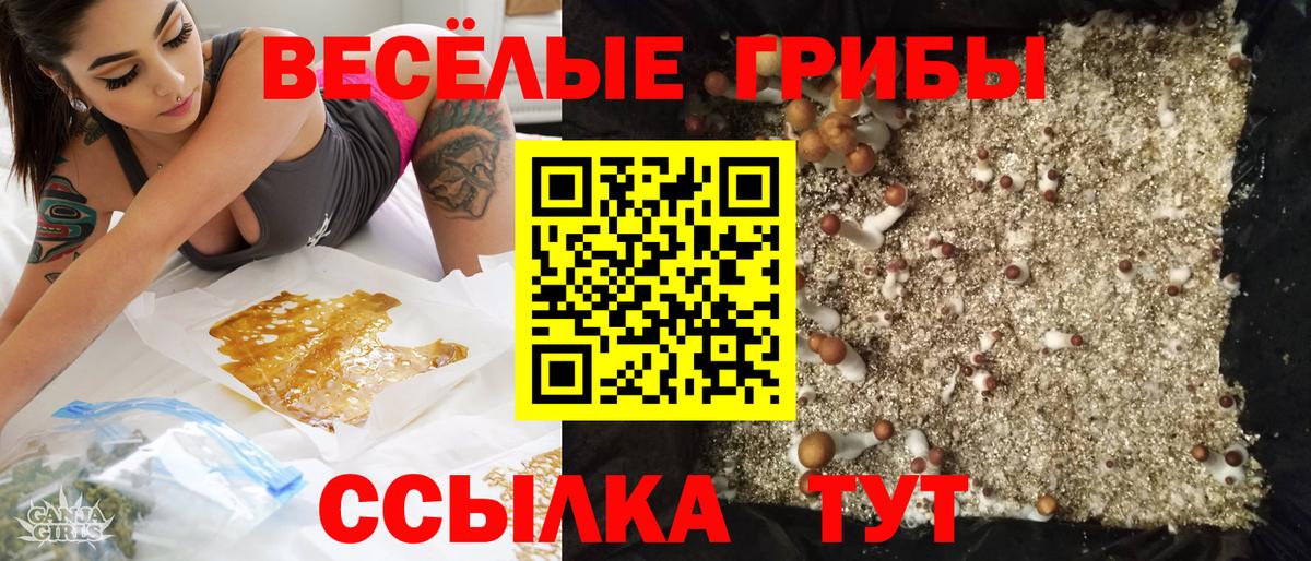 Галлюциногенные грибы GOLDEN TEACHER  Вход с VPN  Галлюциногенные грибы GOLDEN TEACHER  Уварово 